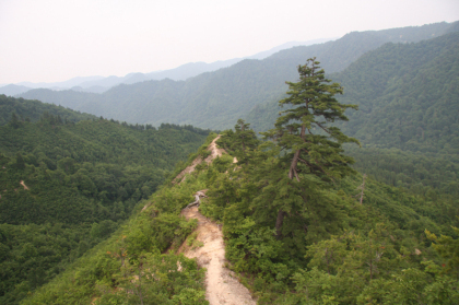 最後のピーク。ここを越えると森林の中を抜け登山道へと戻ります。