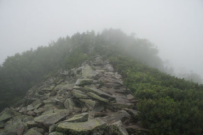 岩場を登ります。