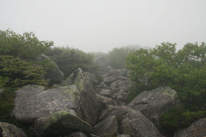 巨岩を登ります。