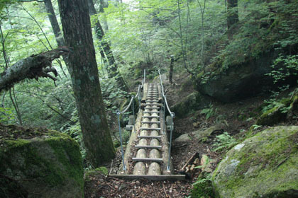 不動の滝から登山口までの丸木橋はしっかりと整備されていました。