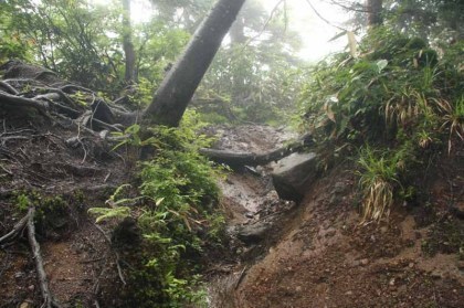 避難小屋を過ぎると勾配がきつい箇所が出てきます。