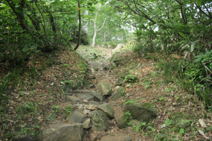 苔生した石がごろごろしている道を登ります。