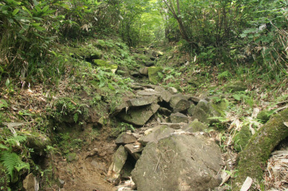 岩と石の道。