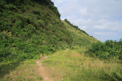 ゲレンデを離れて登山道風の道へと入ります。ただ、よく見ると元は車道だったようです。