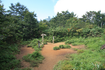 しゃくなげ平。小さな広場です。小荒島岳への登山道の分岐があります。