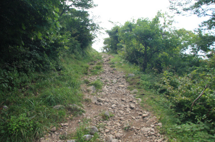 ゲレンデを離れて登山道らしい道となりました。