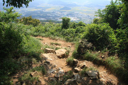 山頂では曇りでしたが、下山の途中から日が差してきました。