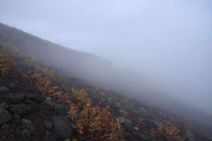 標高が下がるにつれて雲がかかってきました。