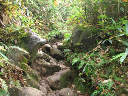 登山道にとりつくと岩場の急登坂が待っています。