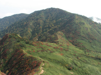 苗場山の登山道の中程から神楽ヶ峰とコルを振り返りました。