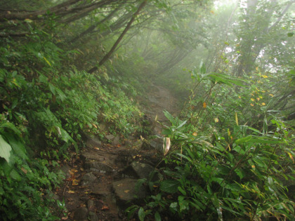 雨で岩が滑ります。