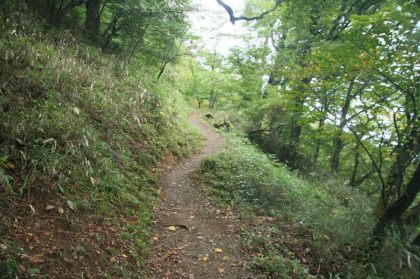 変哲のない山道をあるきます。