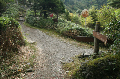 先ほどの分岐の道との合流点です。