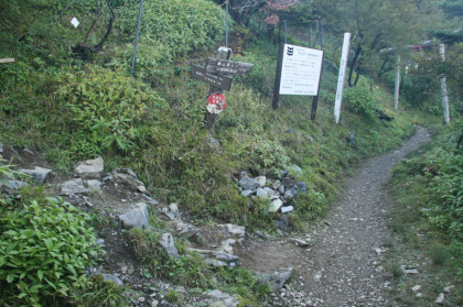 分岐。剣山に登頂した後で次郎笈へ登るなら左に曲がります。急登坂路ですが最短時間で剣山に登れます。