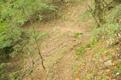 遊歩道の道を下山の時に撮りました。