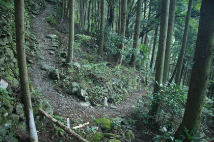 勾配が思っていたよりも急でつづら折りに登ります。