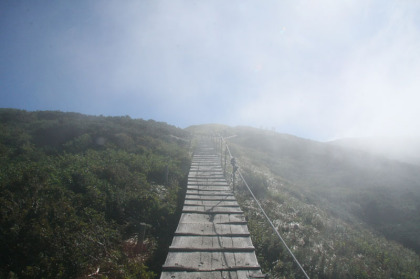 山頂へ登る木道。この木道があることで山頂の有れ方がいかにひどかったかが分かります。