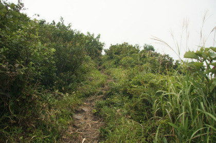 細い土と岩の道。