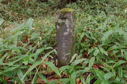 文久三年と刻まれた石碑。江戸時代には隆盛を誇っていたことが分かります。