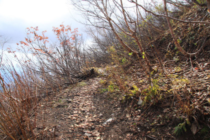 新道が登山者で混雑をしてきたので旧道へと移動しました。連絡路は踏み跡があるという程度です。