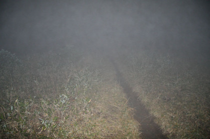 真っ暗闇に濃霧がかかりました。ライトの照射範囲も10mが限度でした。