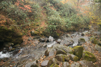 峠沢、赤岩沢を含めて３つの沢を渡ります。