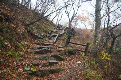 峰の茶屋峠へ登る道には石の階段が整備されている箇所もあります。