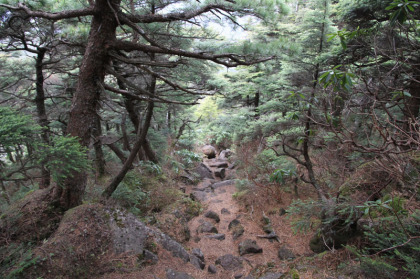 階段状の岩がどこまでも続きます。