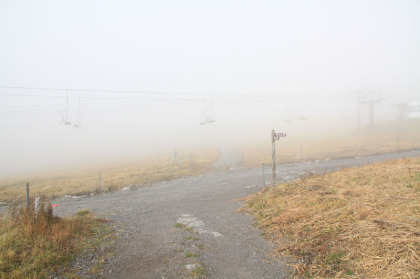 スキー場の整備道路と登山道があちこちで交差しています。