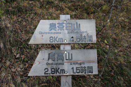 登山口から奥茶臼山まで約４．５時間、８ｋｍの道のり。