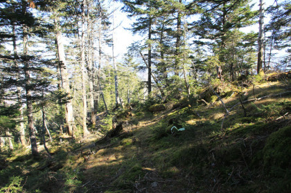 山頂からの下山時に道を間違えましたが、この辺りにはマーキングが施されていたので気が付きませんでした。