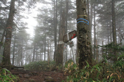 山頂の直下の分岐。ここから山頂までは勾配はほとんどありません。