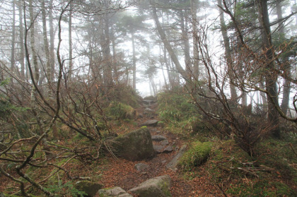 山頂へ向かって延びる道。