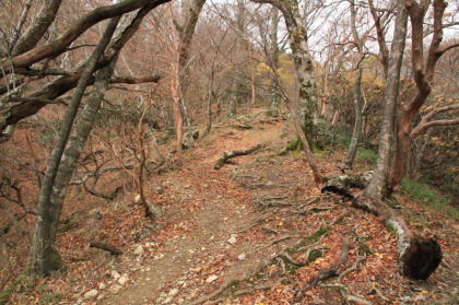 沢を渡ると急峻な登りが稜線の分岐まで続きます。