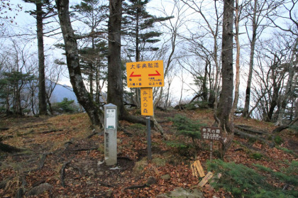 分岐と弥山の間にある唯一のピークの弁天の森。