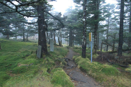 八経ヶ岳への分岐道。