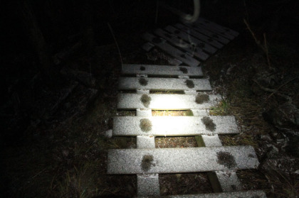 登山道もうっすらと雪が積もっています。