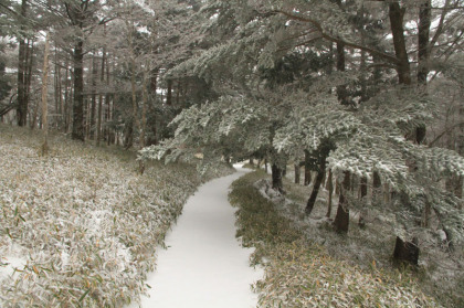 新雪の上を歩くのはとても気持ちの良いものです。