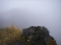 １１月の阿蘇根子岳登山
