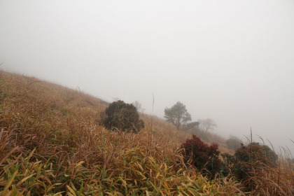 霧で何も見えません。中腹だからかも知れませんが、思ったよりも山の傾斜は緩やかです。
