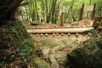 森林鉄道跡の遊歩道に出ました。