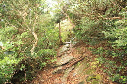 黒味岳の登山口。