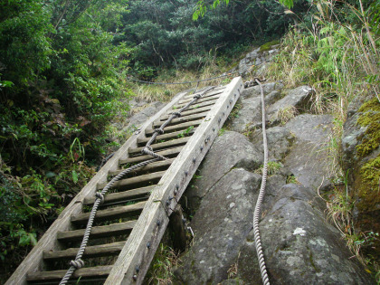 山頂への最後の登り。