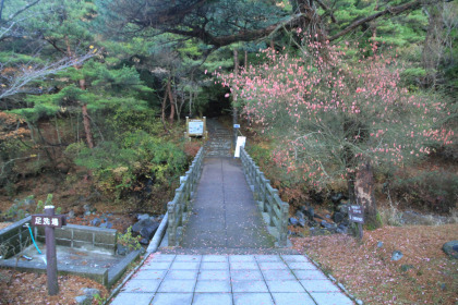 橋を渡ると遊歩道があります。