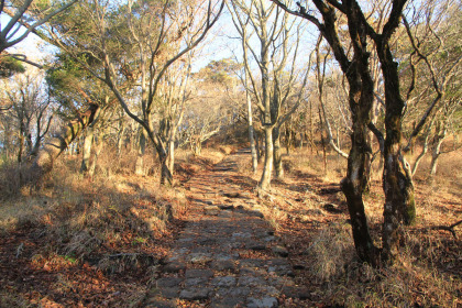 複数の遊歩道が中岳まで延びています。