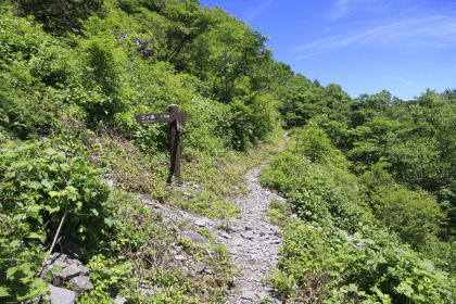 樹林帯を抜けました。