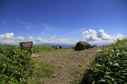 茶臼山の山頂。