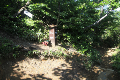 進行山の分岐。