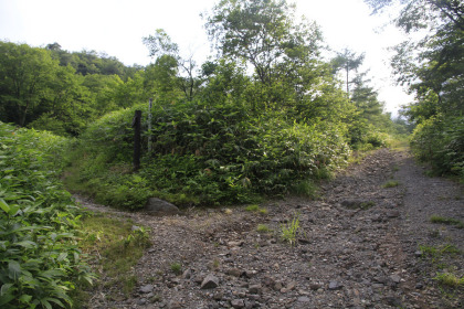 林道はここまで。左の狭い歩道に入ります。