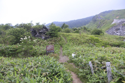 殺傷河原にある本白根山へ至る道の分岐。